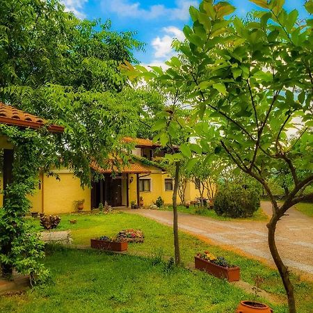 Villa Anthemia Naousa  Exterior foto