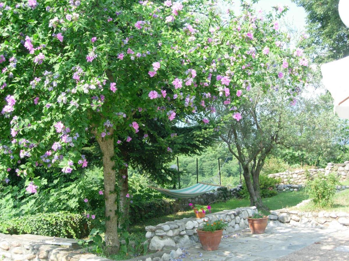 Villa Anthemia Naousa  Exterior foto
