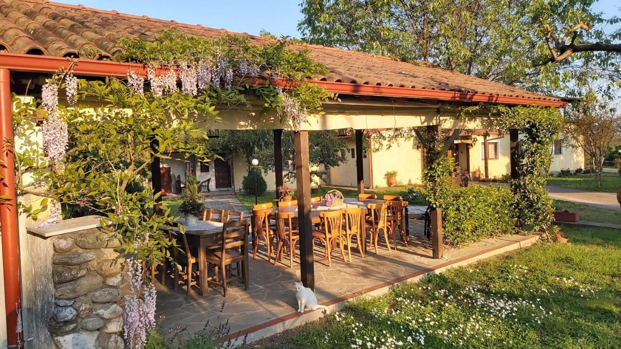 Villa Anthemia Naousa  Exterior foto